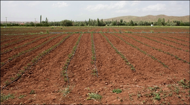 AKSARAY'DA TABİ AFETLERDEN ZARAR GÖREN ÇİFTÇİLERE BORÇ ERTELEMESİ