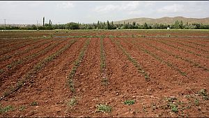 AKSARAY'DA TABİ AFETLERDEN ZARAR GÖREN ÇİFTÇİLERE BORÇ ERTELEMESİ