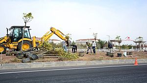 AKSARAY-KONYA KARAYOLUNA 300 ADET AĞAÇ DİKİLİYOR