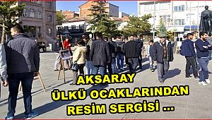 AKSARAY ÜLKÜ OCAKLARINDAN RESİM SERGİSİ