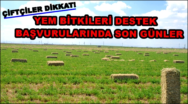 ÇİFTÇİLER DİKKAT! YEM BİTKİLERİ DESTEK BAŞVURULARINDA SON GÜNLER