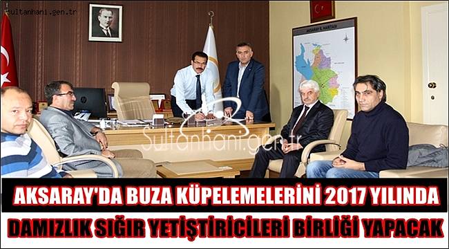 AKSARAY'DA BUZA KÜPELEMELERİNİ 2017 DE DAMIZLIK SIĞIR YETİŞTİRİCİLERİ BİRLİĞİ YAPACAK