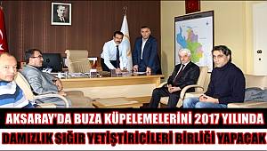 AKSARAY'DA BUZA KÜPELEMELERİNİ 2017 DE DAMIZLIK SIĞIR YETİŞTİRİCİLERİ BİRLİĞİ YAPACAK
