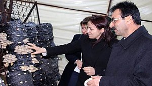 AKSARAY'DA KOP PROJELERİ MANTAR GİBİ ÇOĞALIYOR