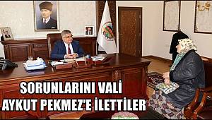 SORUNLARINI VALİ AYKUT PEKMEZ'E İLETTİLER