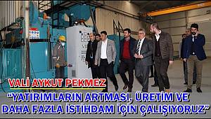 VALİ PEKMEZ “YATIRIMLARIN ARTMASI, ÜRETİM VE DAHA FAZLA İSTİHDAM İÇİN ÇALIŞIYORUZ”