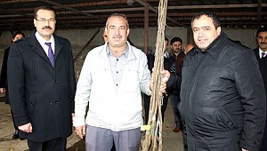 AKSARAY'DA YETİŞTİRİCİLERE CEVİZ FİDANLARI DAĞITILDI