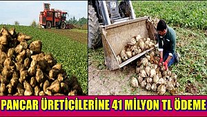 PANCAR ÜRETİCİLERİNE 41 MİLYON TL ÖDEME