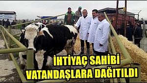 AKSARAY DA İHTİYAÇ SAHİBİ VATANDAŞLARA BÜYÜKBAŞ HAYVAN DAĞITILDI