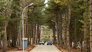 AKSARAY ERVAH KABRİSTANLIĞINI AYDINLATILIYOR