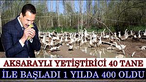 AKSARAYLI YETİŞTİRİCİ 40 ADET İLE BAŞLADI 1 YILDA 400 OLDU