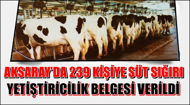 AKSARAY’DA 239 KİŞİYE SÜT SIĞIRI YETİŞTİRİCİLİK BELGESİ VERİLDİ