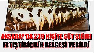 AKSARAY’DA 239 KİŞİYE SÜT SIĞIRI YETİŞTİRİCİLİK BELGESİ VERİLDİ