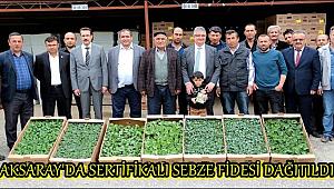 AKSARAY'DA SERTİFİKALI SEBZE FİDESİ DAĞITILDI
