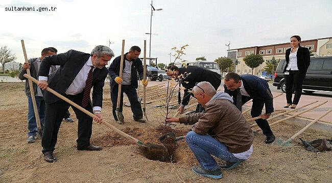 ASÜ KAMPÜSE 2 YILDA 16 BİN CİVARINDA FİDAN DİKİLDİ