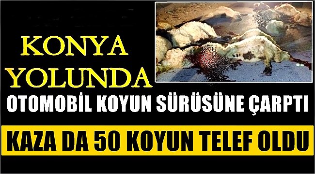KONYA YOLUNDA 1 OTOMOBİL KOYUN SÜRÜSÜNE ÇARPTI