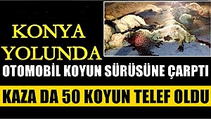 KONYA YOLUNDA 1 OTOMOBİL KOYUN SÜRÜSÜNE ÇARPTI