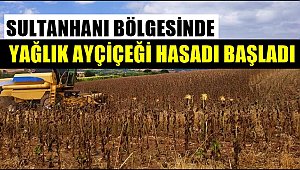 SULTANHANI BÖLGESİNDE AYÇİÇEĞİ HASADI BAŞLADI