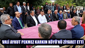 VALİ AYKUT PEKMEZ KARKIN KÖYÜ'NÜ ZİYARET ETTİ