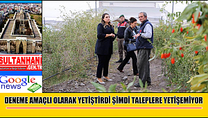 DENEME AMAÇLI OLARAK YETİŞTİRDİ ŞİMDİ TALEPLERE YETİŞEMİYOR