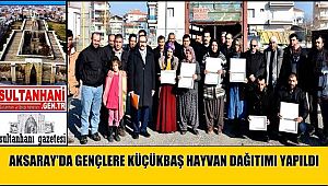 AKSARAY'DA GENÇLERE KÜÇÜKBAŞ HAYVAN DAĞITIMI YAPILDI