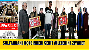 YEŞİM PEKMEZ SULTANHANI İLÇESİNDEKİ ŞEHİT AİLELERİNİ ZİYARET ETTİ