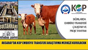 AKSARAY'DA KOP EMBRİYO TRANSFERİ ARAŞTIRMA MERKEZİ KURULACAK
