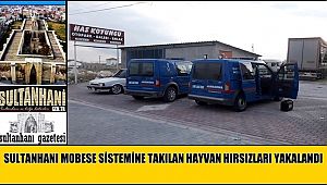 SULTANHANI MOBESE SİSTEMİNE TAKILAN HAYVAN HIRSIZLARI YAKALANDI