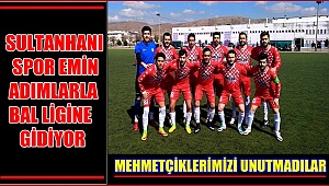 SULTANHANI SPOR EMİN ADIMLARLA BAL LİGİNE DOĞRU GİDİYOR