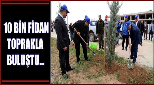 AKSARAY ÜNİVERSİTESİNDE 10 BİN FİDAN TOPRAKLA BULUŞTU