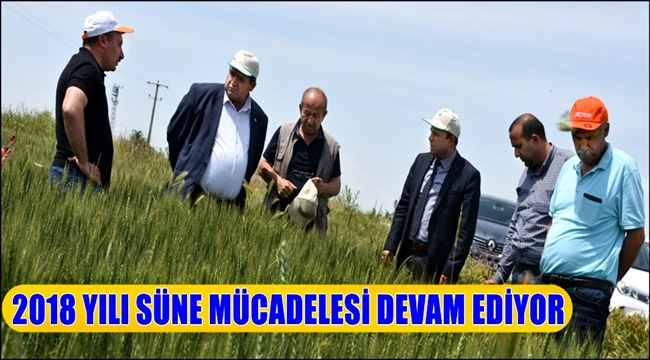 AKSARAY'DA 2018 YILI SÜNE MÜCADELESİ ÇALIŞMALARI DEVAM EDİYOR