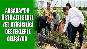 AKSARAY'DA ÖRTÜ ALTI SEBZE YETİŞTİRİCİLİĞİ DESTEKLERLE GELİŞİYOR