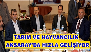 AKSARAY'DA TARIM VE HAYVANCILIK HIZLA GELİŞİYOR