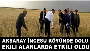 AKSARAY İNCESU KÖYÜNDE DOLU EKİLİ ALANLARDA ETKİLİ OLDU
