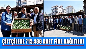 SEBZECİLİĞİ GELİŞTİRMEK İÇİN AKSARAY'DA 715.488 ADET FİDE DAĞITILDI