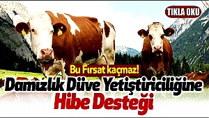 STK, BÜROKRAT, SİYASET İŞ BİRLİĞİ İLE AKSARAY YENİ BİR TEŞVİK'E KAVUŞTU