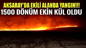 AKSARAY'DA ÇIKAN YANGINDA 1500 DEKAR EKİLİ ARAZİ KÜL OLDU