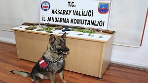 AKSARAY'DA UYUŞTURUCU MADDE İMALİ İLE TİCARETİ YAPTIĞI TESPİT EDİLEN ÜÇ KİŞİ YAKALANDI