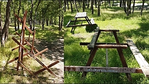 BİZE NE DAYANIR? PİKNİK ALANINI DA TALAN ETTİK