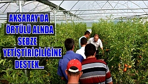 AKSARAY'DA SEBZE ÜRETİCİLERİ DESTEKLENİYOR