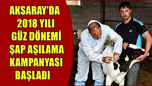 AKSARAY'DA 2018 YILI GÜZ DÖNEMİ ŞAP AŞILAMA KAMPANYASI BAŞLADI