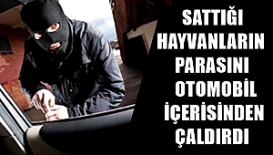 AKSARAY'DA BİR ŞAHSIN SATTIĞI HAYVANLARIN PARASI OTOMOBİLİNDEN ÇALINDI