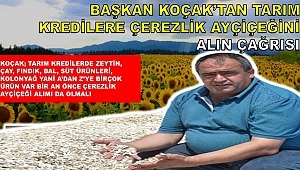 BAŞKAN KOÇAK'TAN TARIM KREDİ KOOPERATİFLERİNE ÇAĞRI