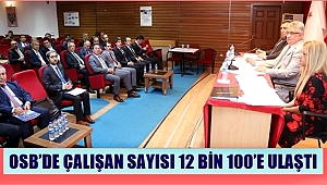 AKSARAY OSB'DE ÇALIŞAN SAYISI 12 BİN 100'E ULAŞTI