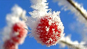 AFAD AKSARAY İL MÜDÜRLÜĞÜ 'ZİRAİ DON OLAYINDAN KORUNMA YÖNTEMLERİ' HAKKINDA BİLGİLER VERDİ