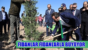 AKSARAY'DA FİDANLAR FİDANLARLA BÜYÜYOR