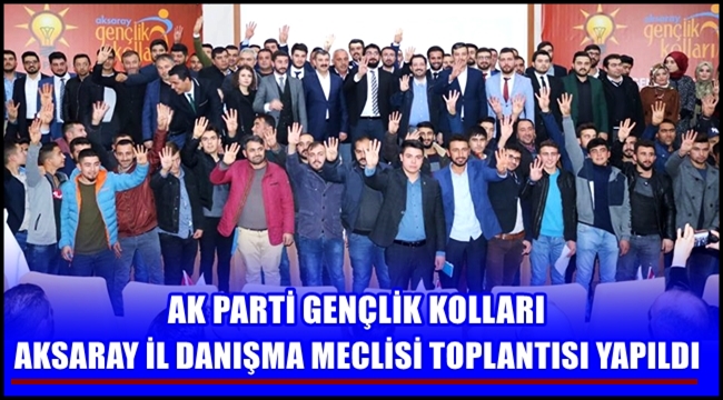 AK PARTİ GENÇLİK KOLLARI AKSARAY İL DANIŞMA MECLİSİ TOPLANTISI YAPILDI