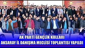 AK PARTİ GENÇLİK KOLLARI AKSARAY İL DANIŞMA MECLİSİ TOPLANTISI YAPILDI