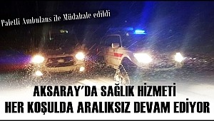 AKSARAY'DA ACİL HASTAYA PALETLİ AMBULANS İLE MÜDAHALE EDİLDİ