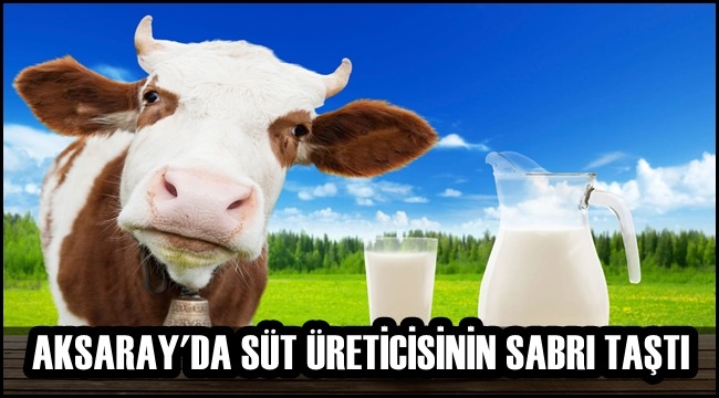 AKSARAY'DA SÜT ÜRETİCİSİNİN SABRI TAŞTI